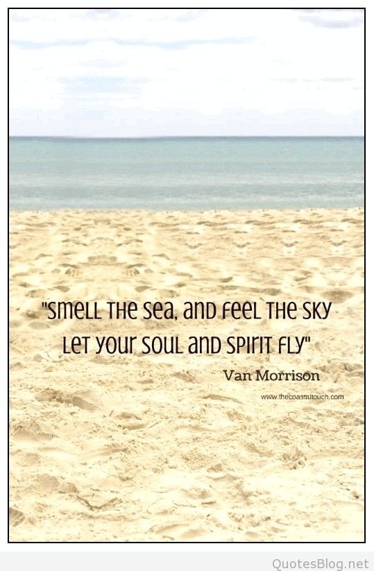 Smell the sea and feel the sky — Steemit